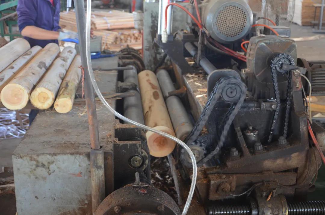 明星產(chǎn)品 | 華洲實木多層板誕生記！(圖3)