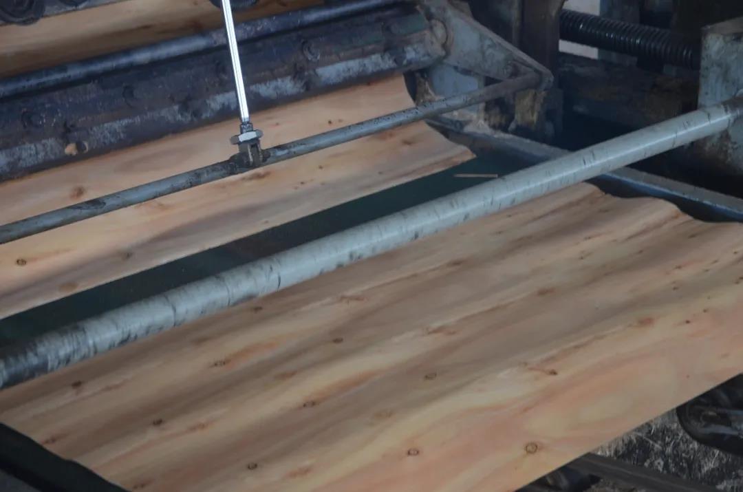 明星產(chǎn)品 | 華洲實木多層板誕生記！(圖4)