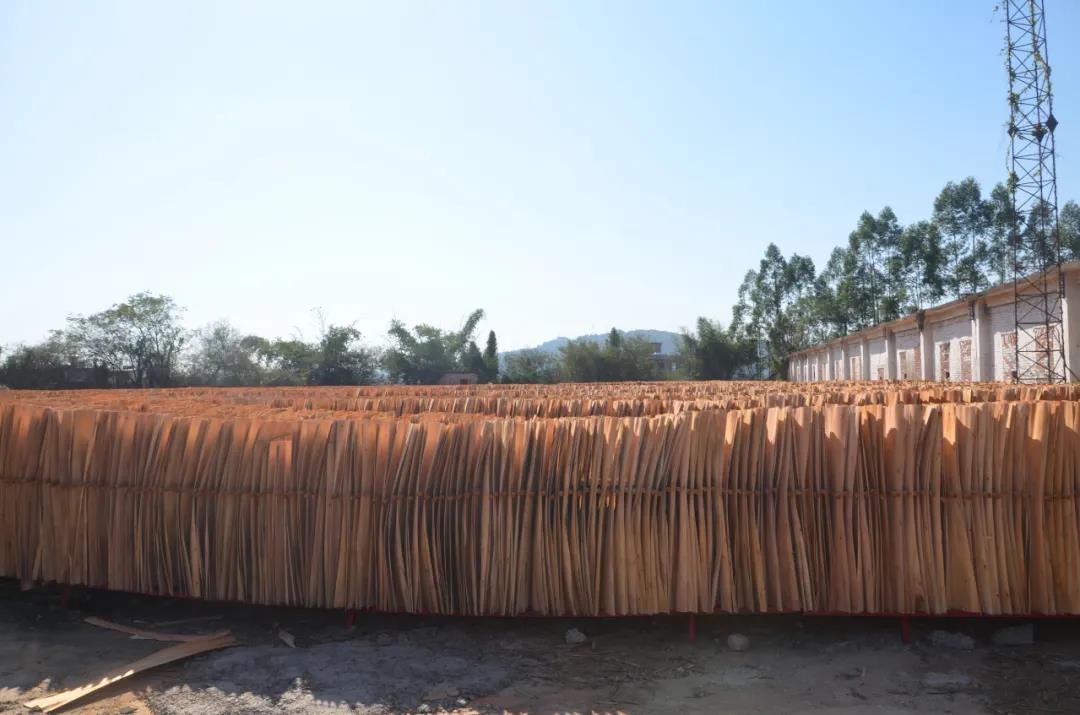 明星產(chǎn)品 | 華洲實木多層板誕生記！(圖6)