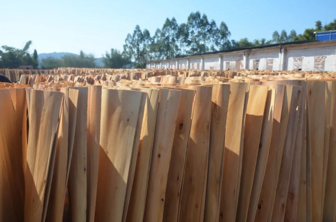 明星產(chǎn)品 | 華洲實木多層板誕生記！(圖7)