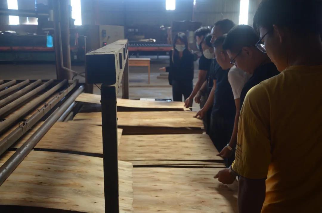 明星產(chǎn)品 | 華洲實木多層板誕生記！(圖8)