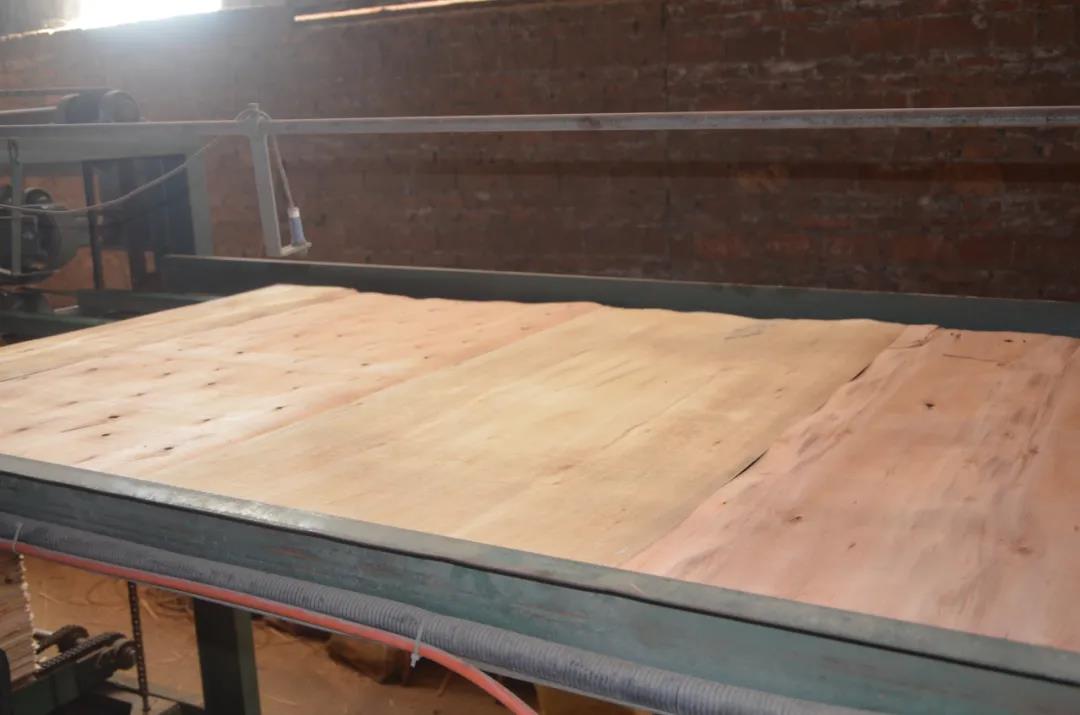 明星產(chǎn)品 | 華洲實木多層板誕生記！(圖10)