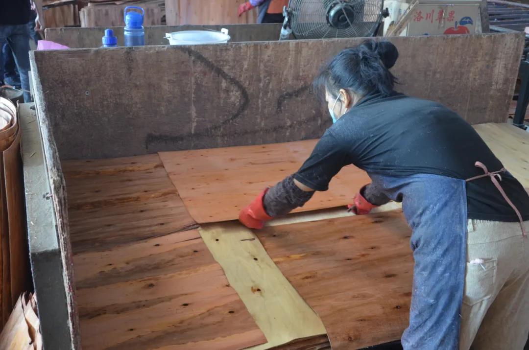 明星產(chǎn)品 | 華洲實木多層板誕生記！(圖12)