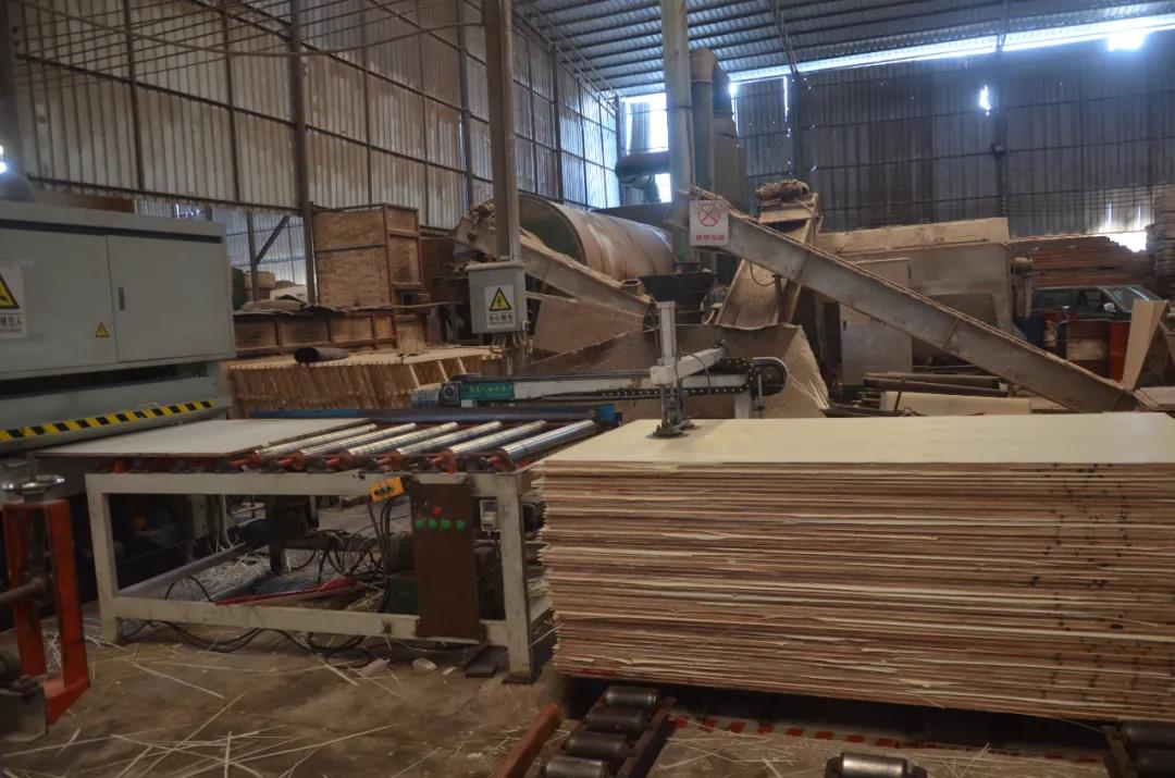 明星產(chǎn)品 | 華洲實木多層板誕生記！(圖18)