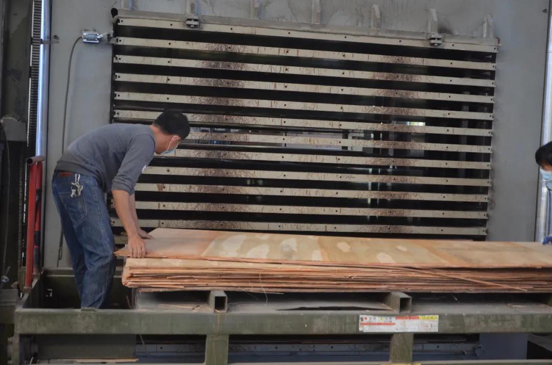 明星產(chǎn)品 | 華洲實木多層板誕生記！(圖15)