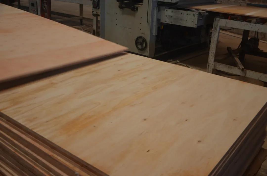 明星產(chǎn)品 | 華洲實木多層板誕生記！(圖16)