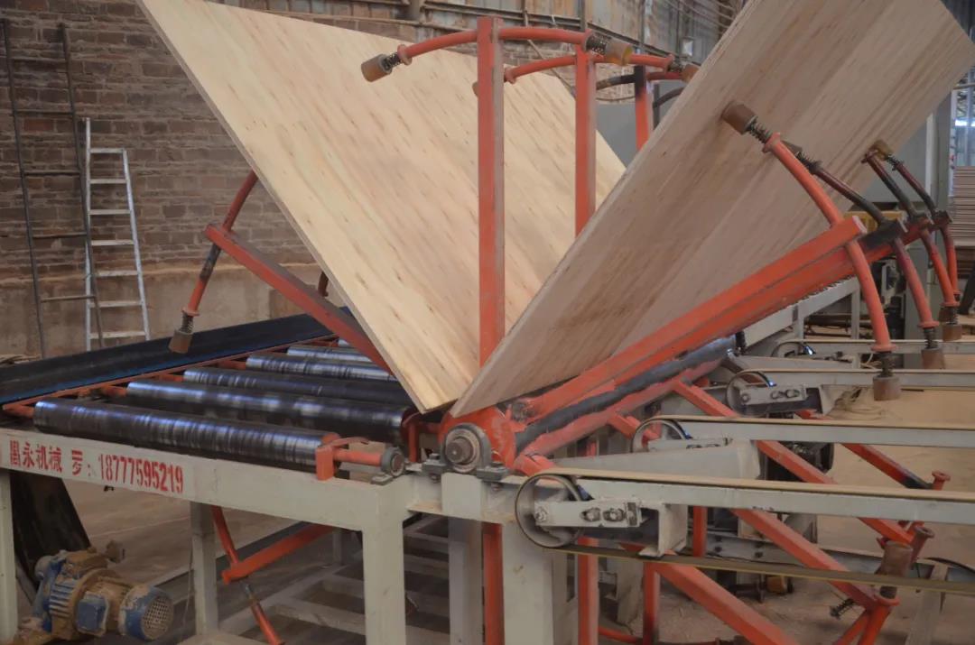 明星產(chǎn)品 | 華洲實木多層板誕生記！(圖17)