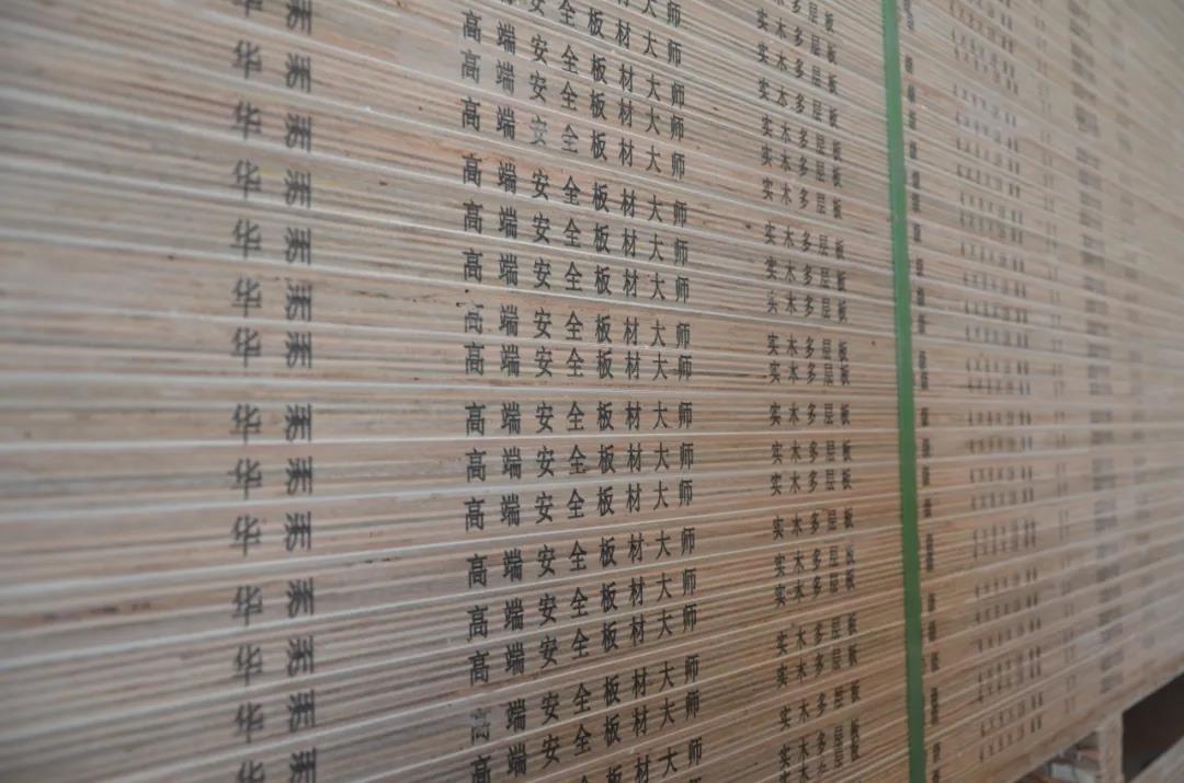 明星產(chǎn)品 | 華洲實木多層板誕生記！(圖23)