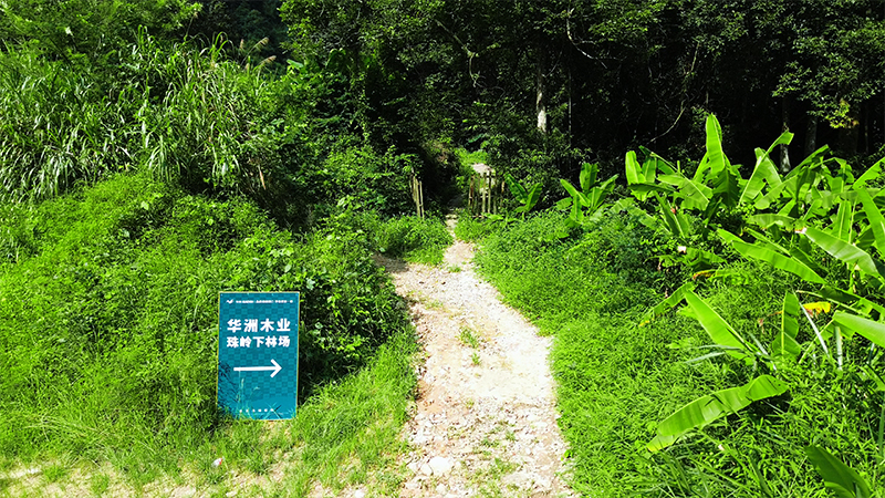 嚴(yán)格選材，只為一張好板材！(圖1)